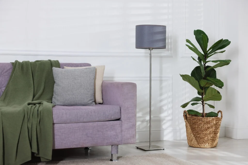 moldura-de-gesso-em-Sao-Jose-do-Rio-Preto-com-acabamento-classico-em-parede-de-sala-decorada-com-sofa-e-iluminacao-suave